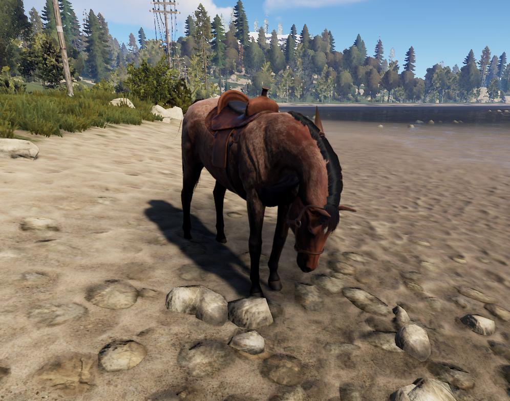 Как кормить лошадь в Rust
